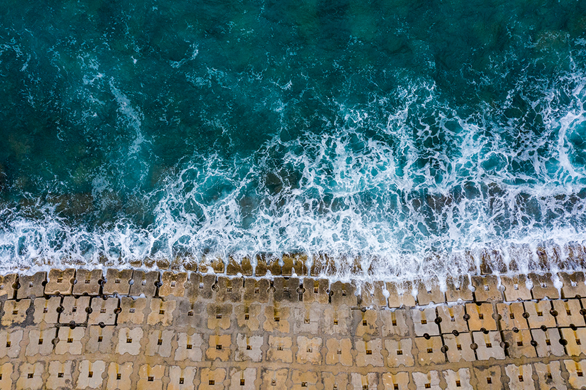 what does it mean for auditors