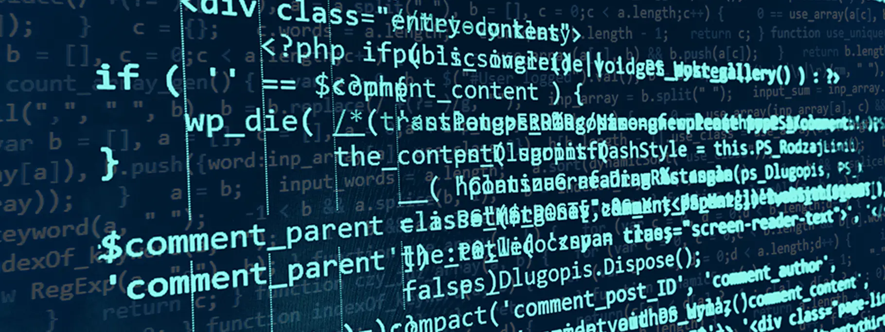 Website Coding Website Coding