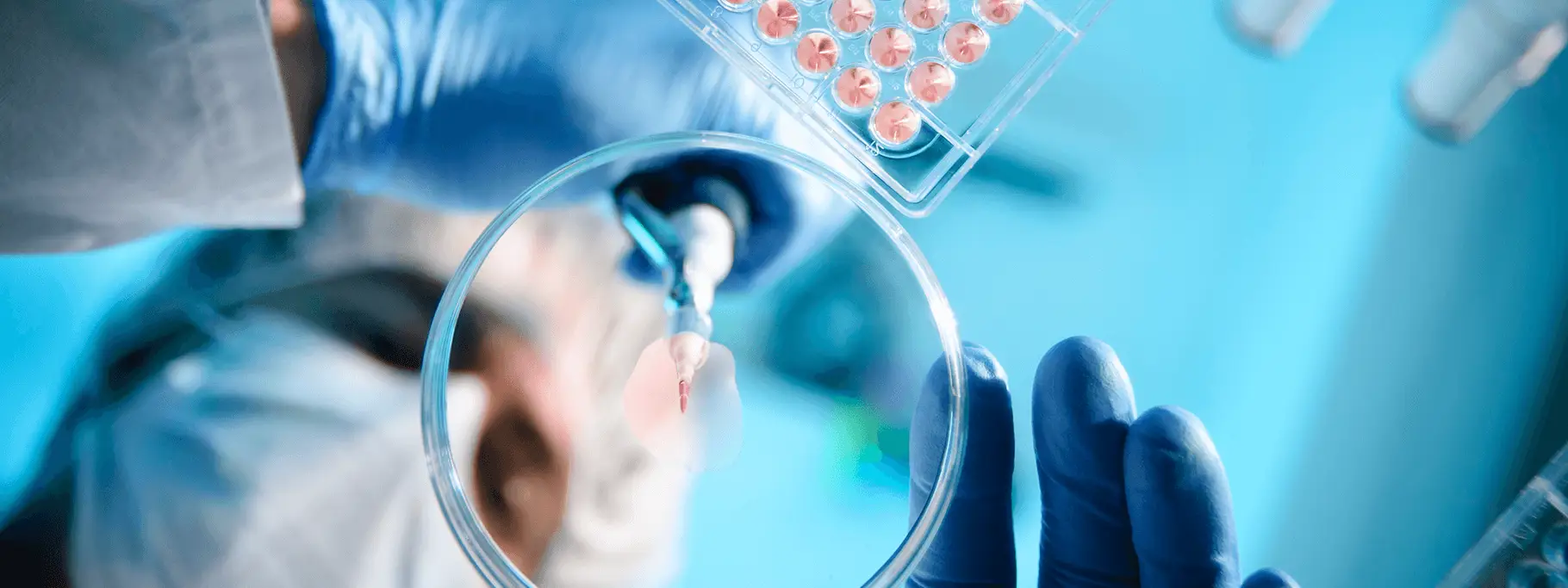 2 Sectors_Lifesciences 2 Sectors_Lifesciences