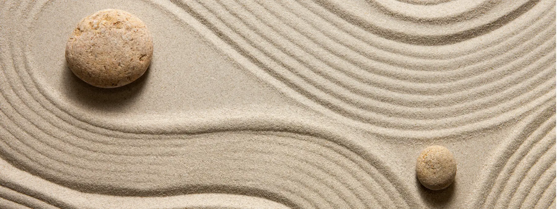 Zen Garden Zen Garden