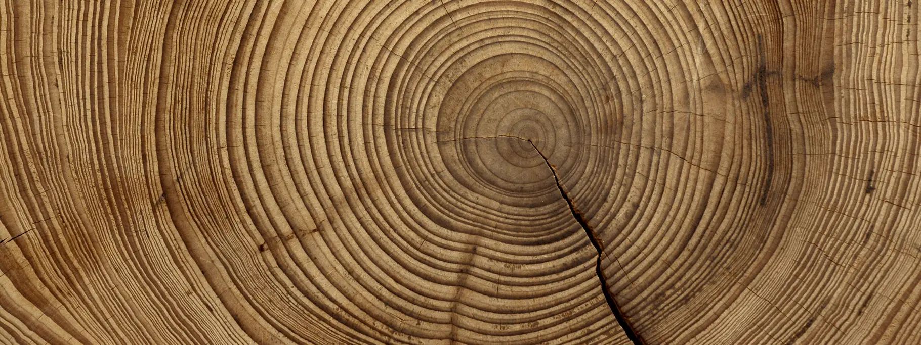 Who_History  Who_History