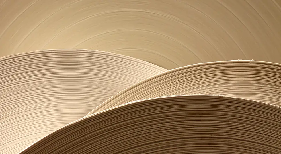 Book Pages Book Pages