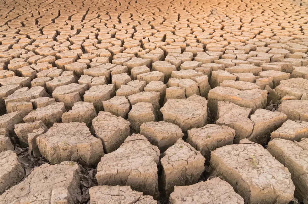 Drought Drought