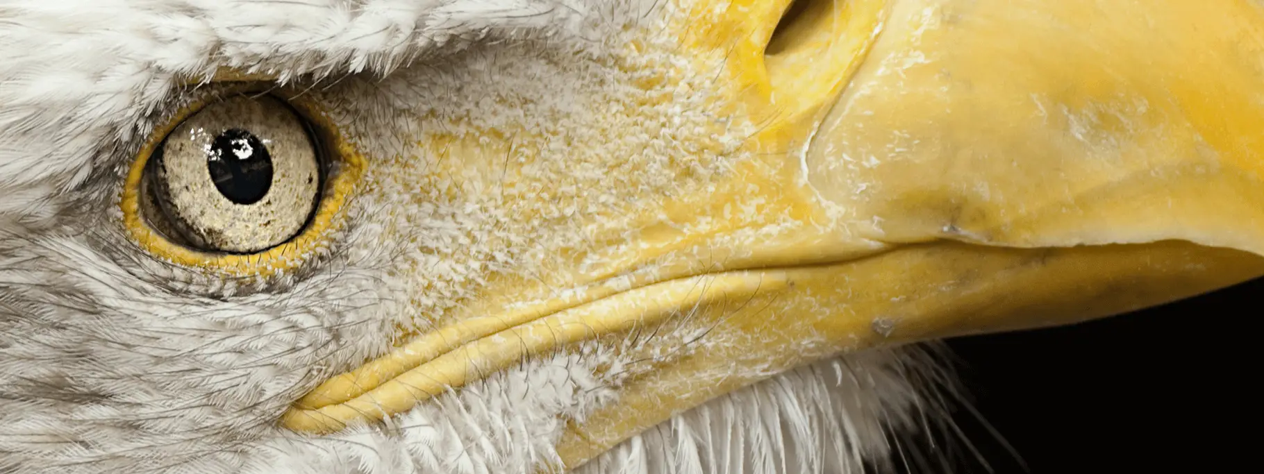 2 Insclaims_Insurancecoverage Us 2 Insclaims_Insurancecoverage Us