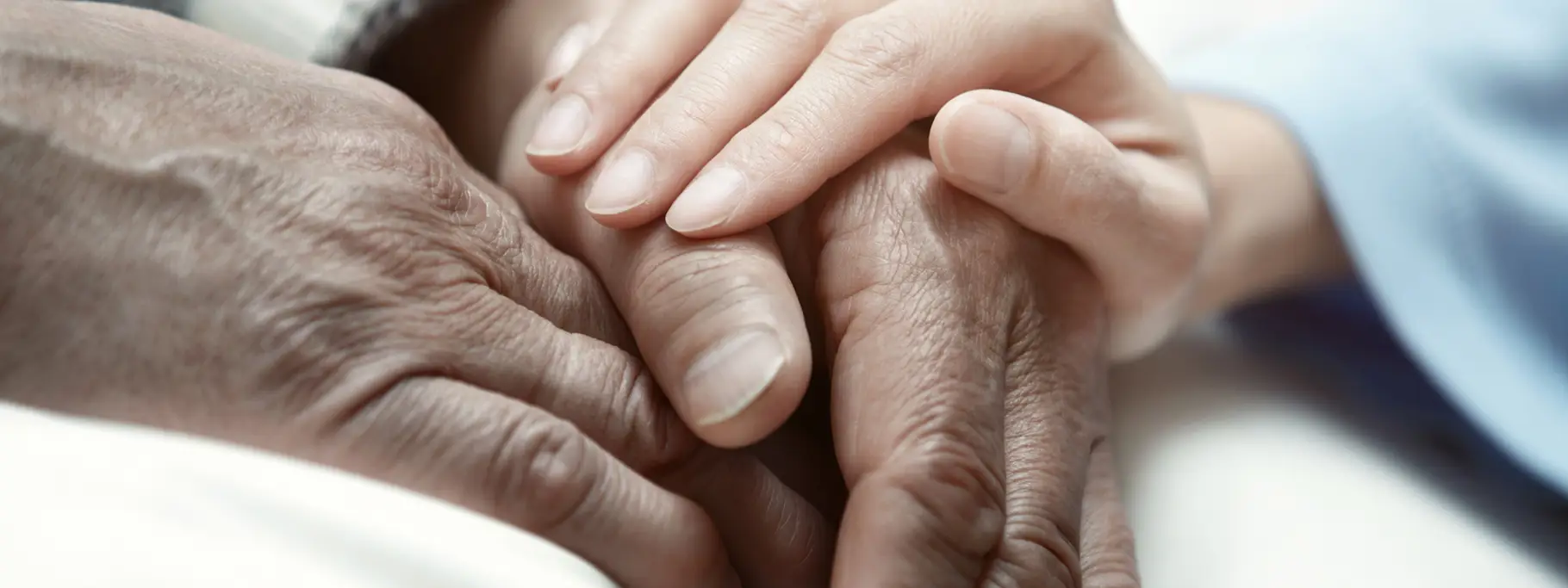 Health Law Expertise_1820X683 Health Law Expertise_1820X683