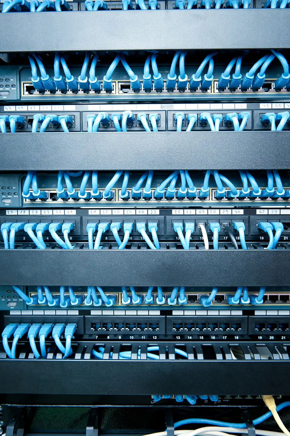 Server Network Cables Server Network Cables