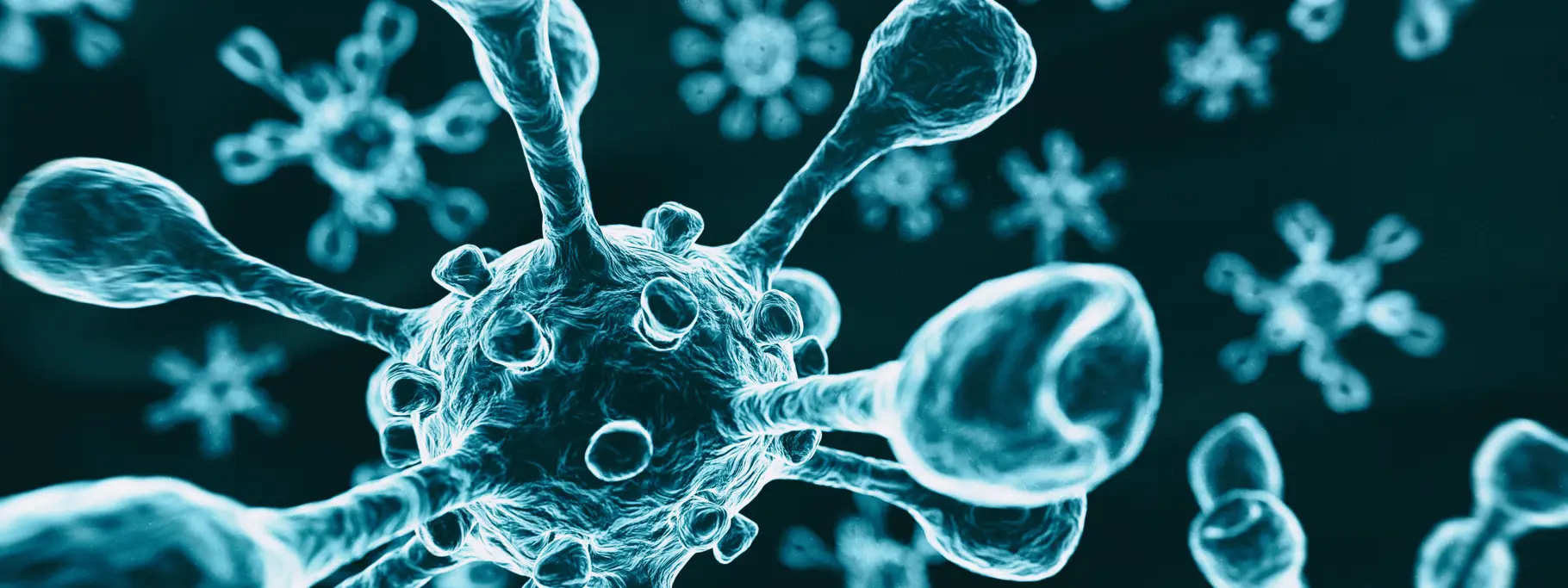 Covid 19 Cell Covid 19 Cell