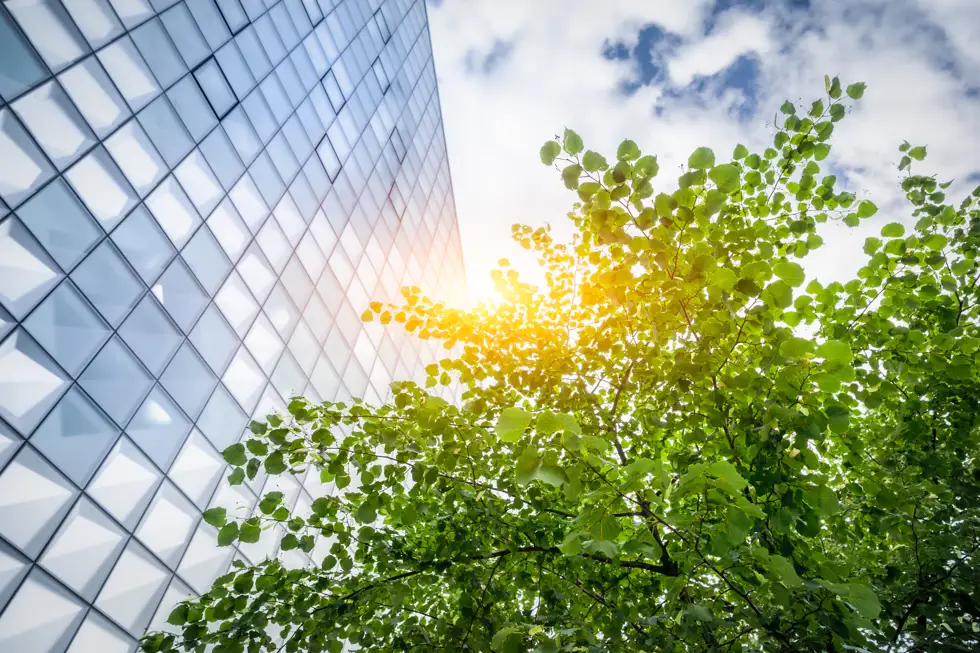 Office building and tree Office building and tree