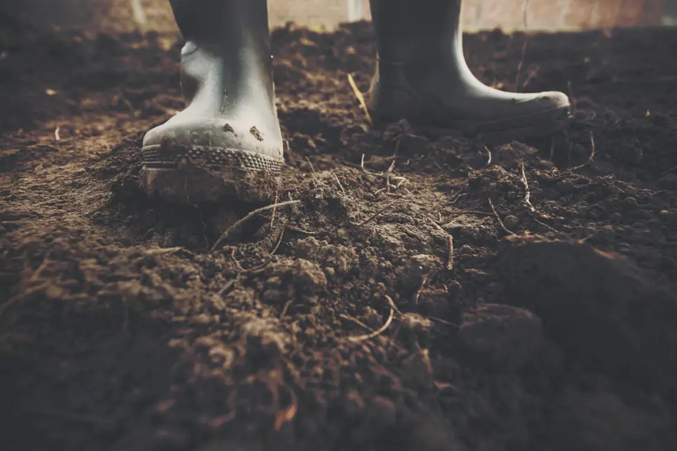 Wellington Boots Farmer Wellington Boots Farmer